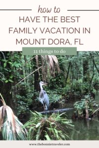 Mount Dora FL, heron
