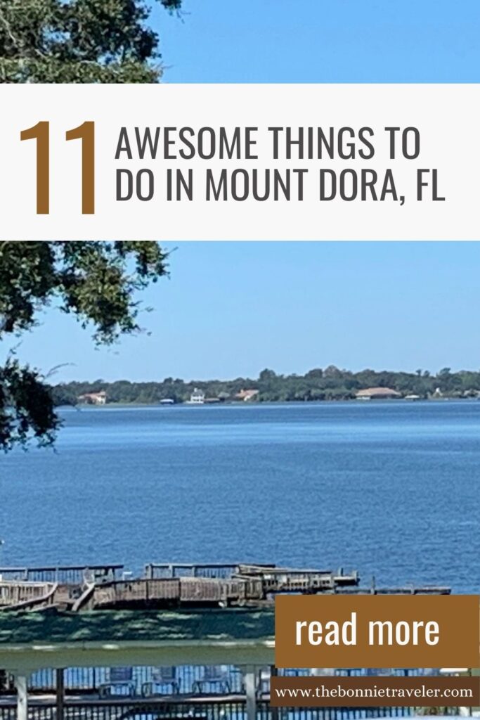 things to do in Mount Dora, lake view Pin