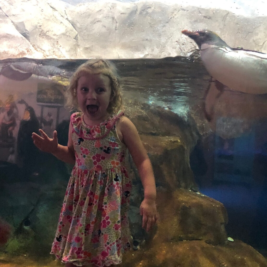 Chattanooga weekend getaway with family, girl and penguin