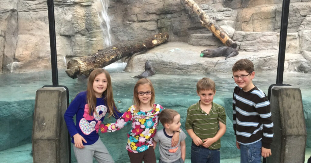 Chattanooga weekend getaway, TN aquarium otter and kids
