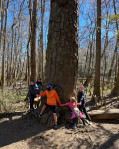 A fun day at Congaree National Park, family circling a big tree