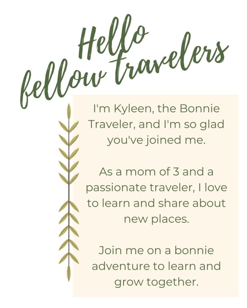 the bonnie traveler, hello fellow travelers