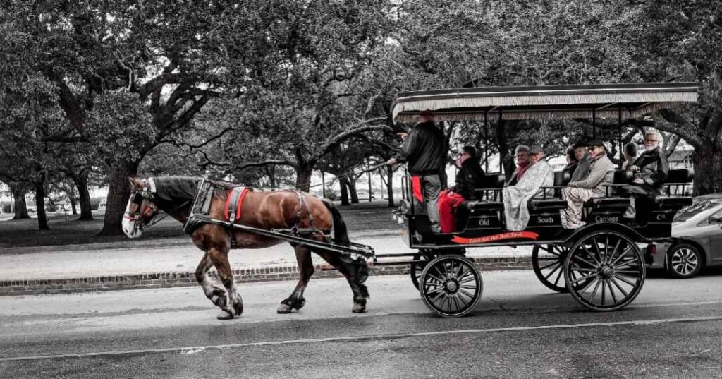 Charleston things to do, carriage ride