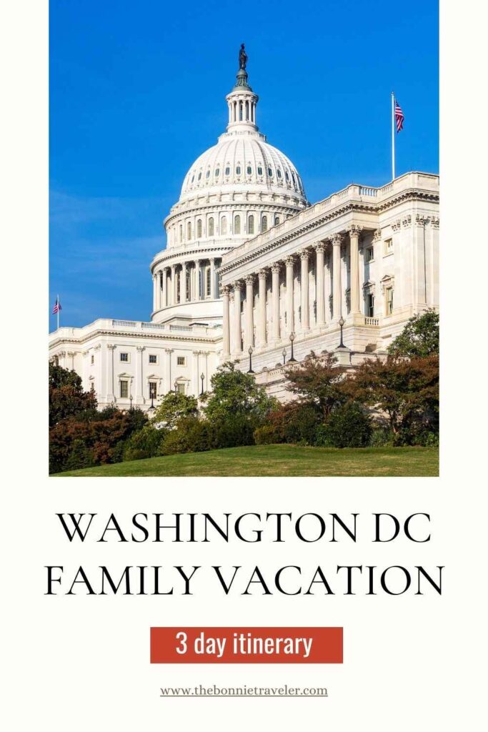 Washington DC family vacation, capitol pin